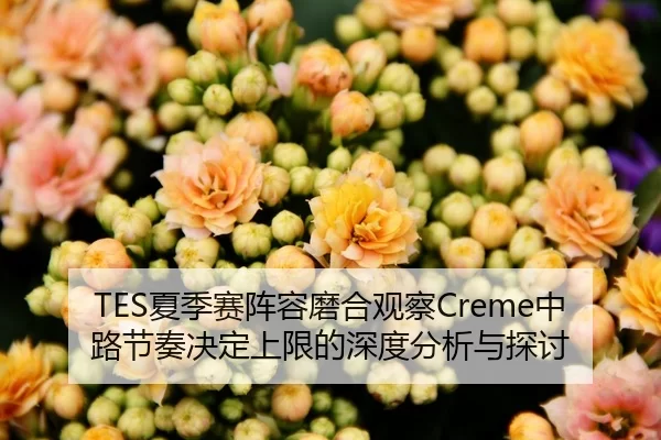 TES夏季赛阵容磨合观察Creme中路节奏决定上限的深度分析与探讨